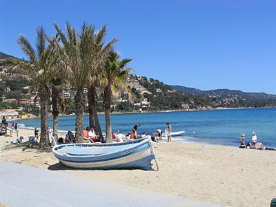 Au Coin De L'Olivier Appartamento Le Lavandou Esterno foto